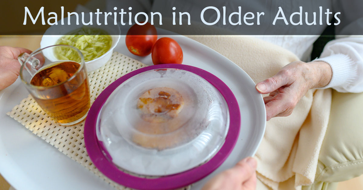Malnutrition in Older Adults. Plate of food prepared for a person.